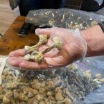 How to pay for Your Order Magic mushrooms