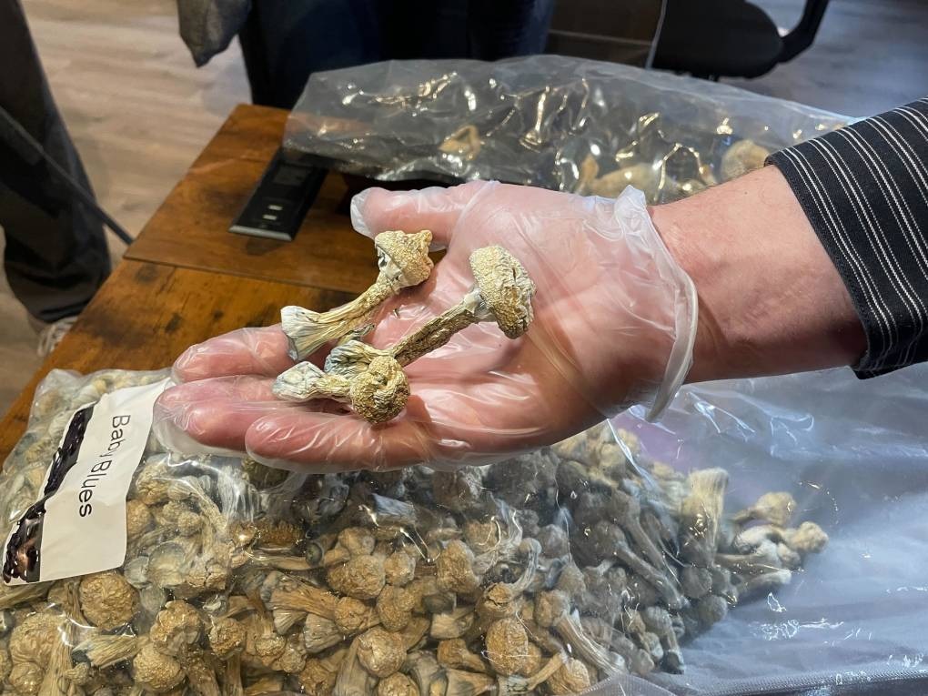 How to pay for Your Order Magic mushrooms