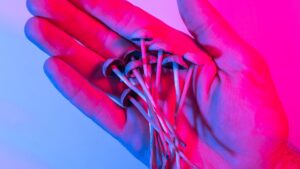 Privacy policy mushrooms australia